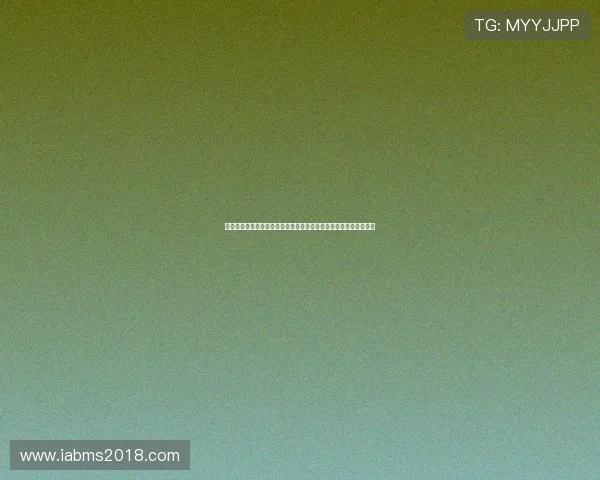 南通金沙体育场馆面积有多大以及其在世界杯赛事中的重要作用分析